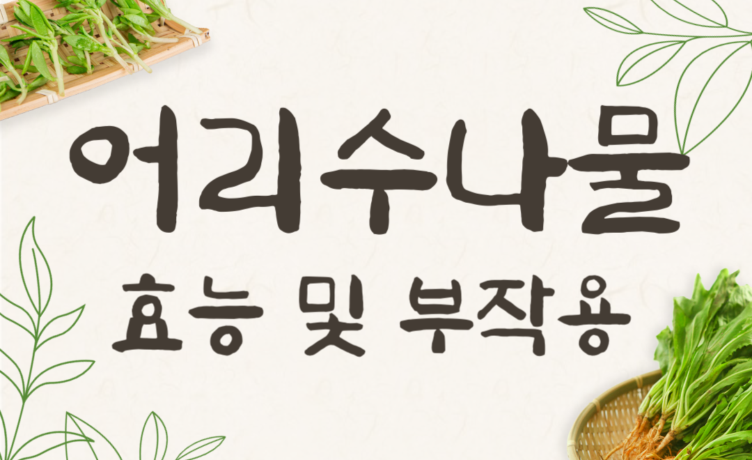어리수나물 효능과 부작용, 건강하게 먹는 법 완벽 가이드