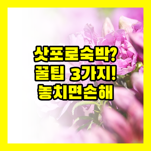 당신의 삿포로 여행을 바꿀 숙박 선택..