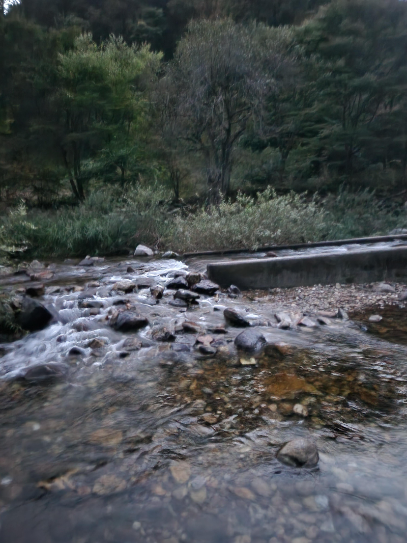 가평 명지산카라반 글램핑 카라반