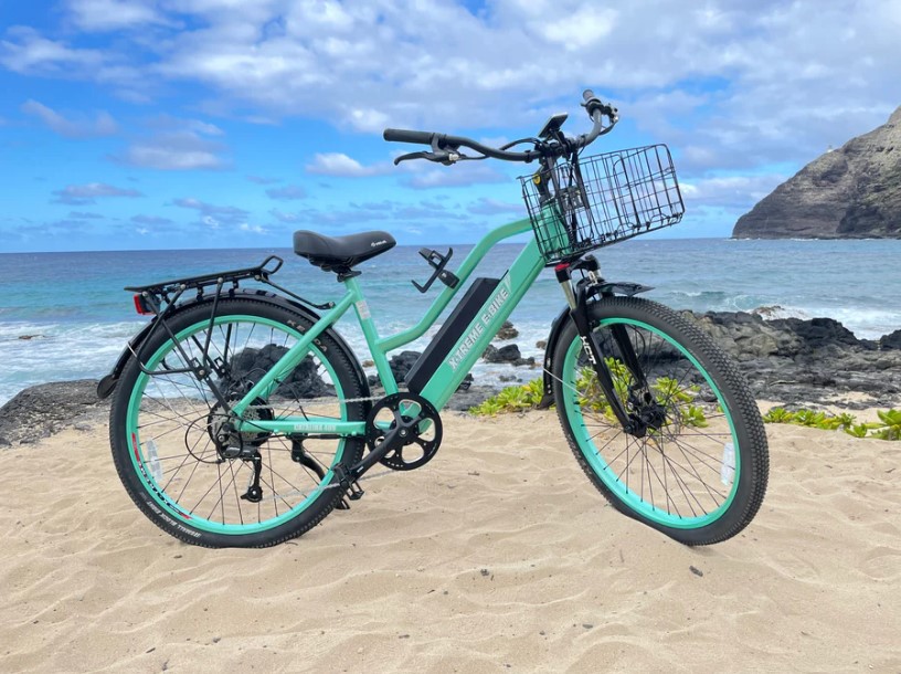 01. X-Treme Electric Bicycles 홈피컷02