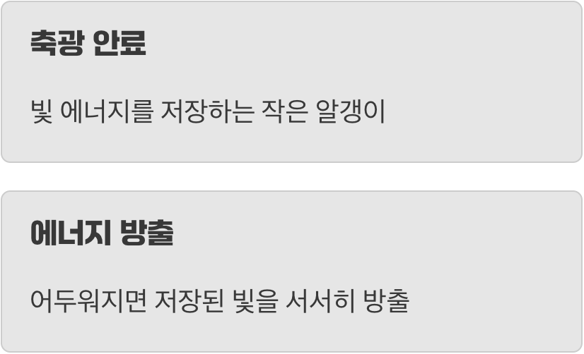 빛을 먹고 사는 ‘라이트 배터리’