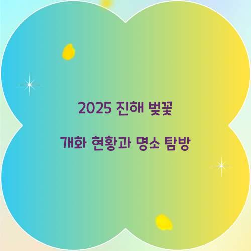 진해 벚꽃 개화
