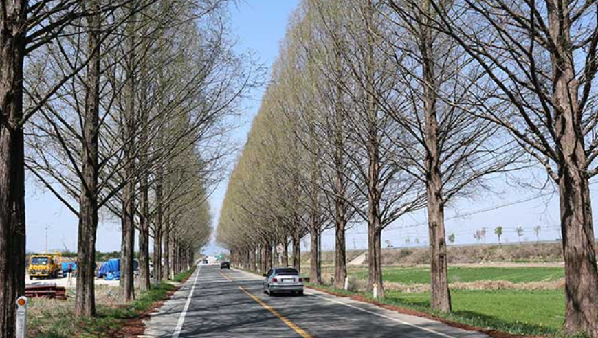 곡성 세계장미축제 관련 사진
