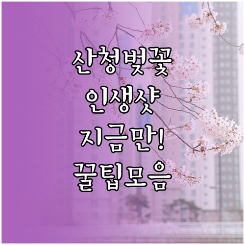 산청 벚꽃 축제 명소 정리와 효율적인..