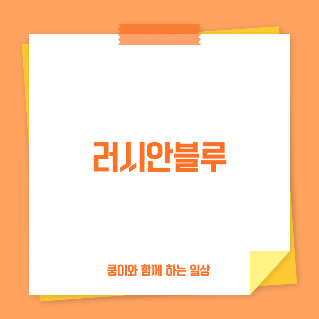 러시안블루