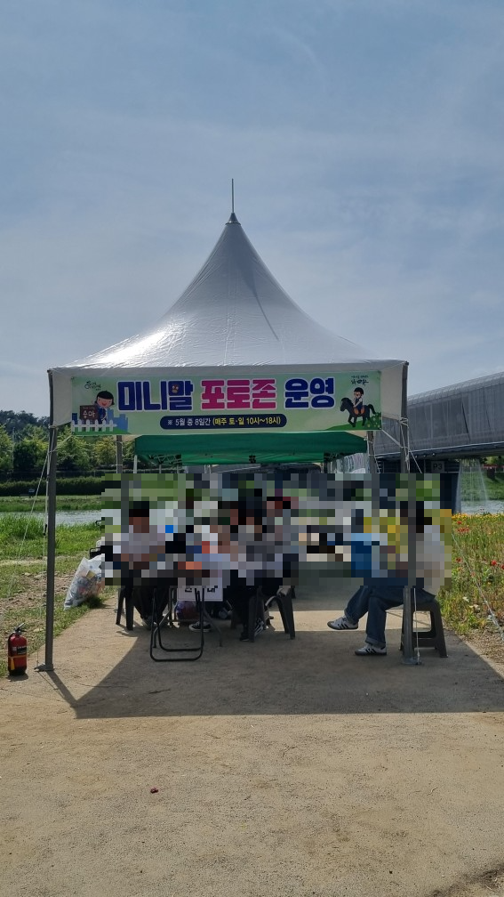 순천만국가정원 미니말 체험