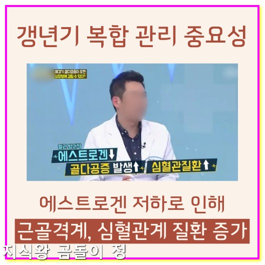 갱년기 호르몬제 종류 비교와 메노믹스 섭취 경험담3