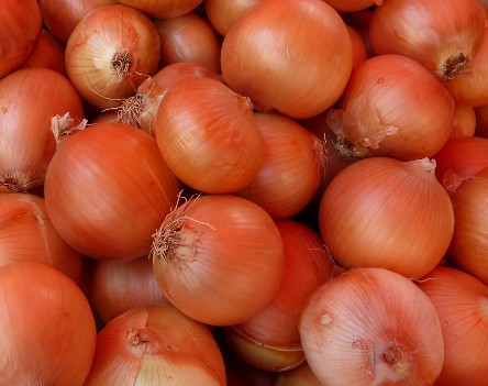 양파 실온 보관방법, 깐 양파 냉장보관방법 / 냉동보관방법