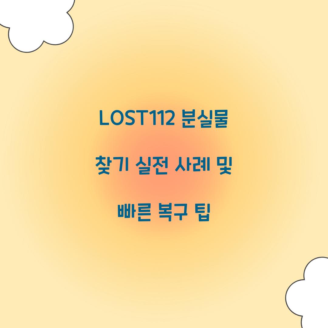 LOST112 분실물 찾기
