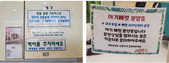 희귀동물, 사유화의 대상이 되다