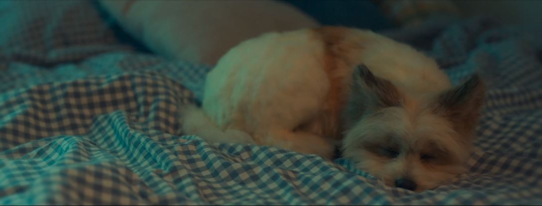 오늘도사랑스럽개_5회