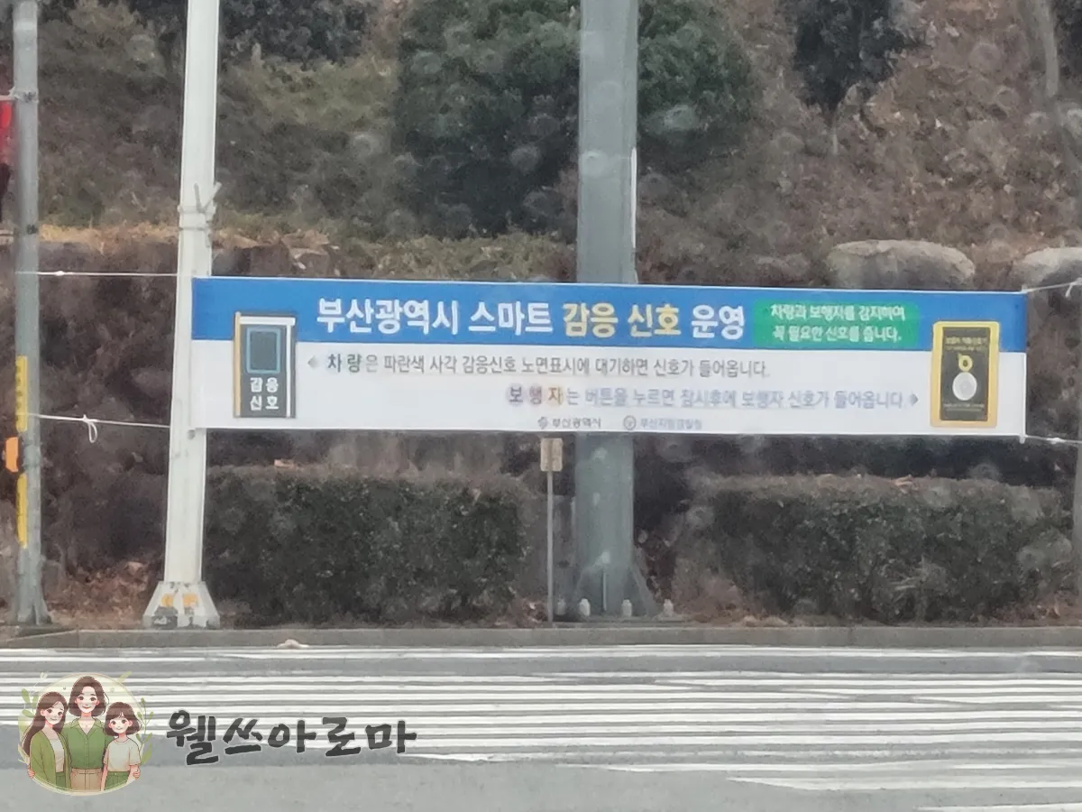 감응신호안내-현수막