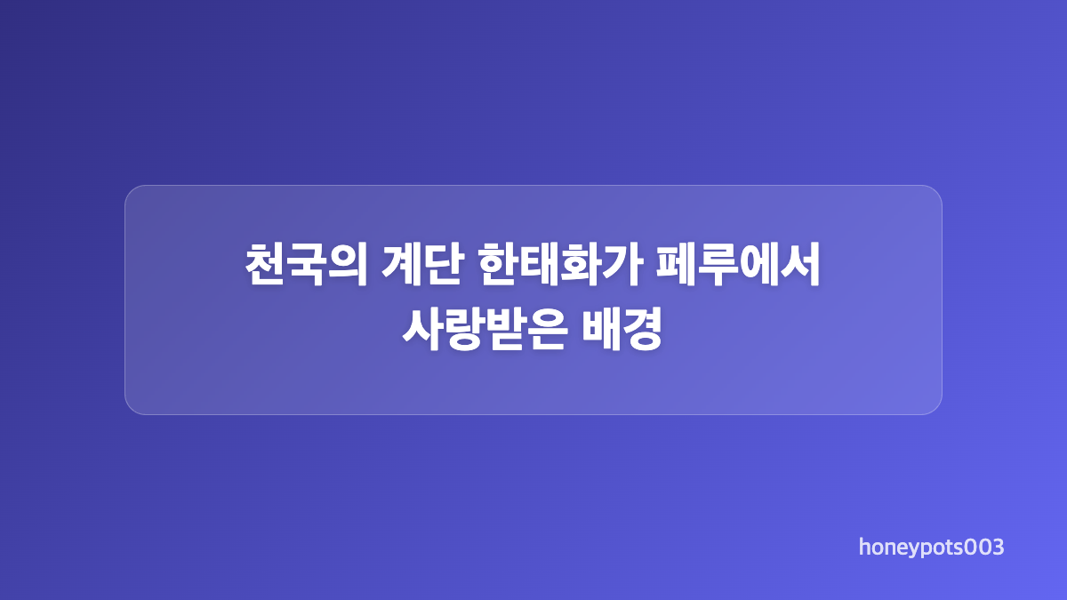 페루 티셔츠와 공항 현장에서 확인된 모습
