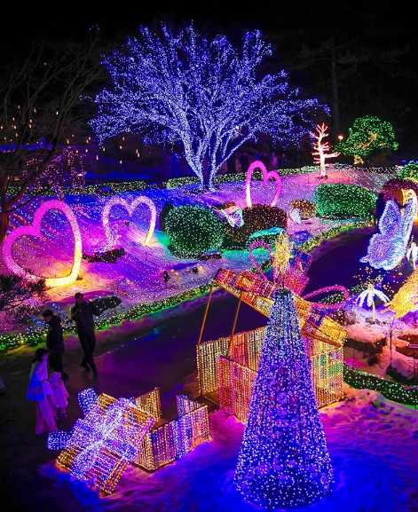 아침고요수목원 오색별빛정원 축제 할인 입장료 예약 방법 일정 가는 길 야경 명소 총정리