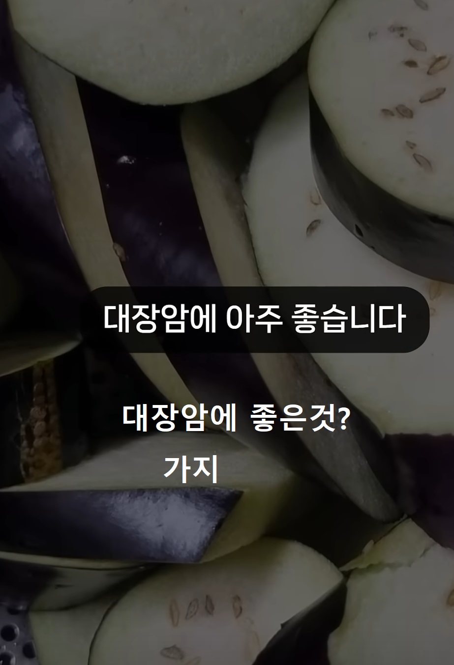 대장암-좋은-음식-가지