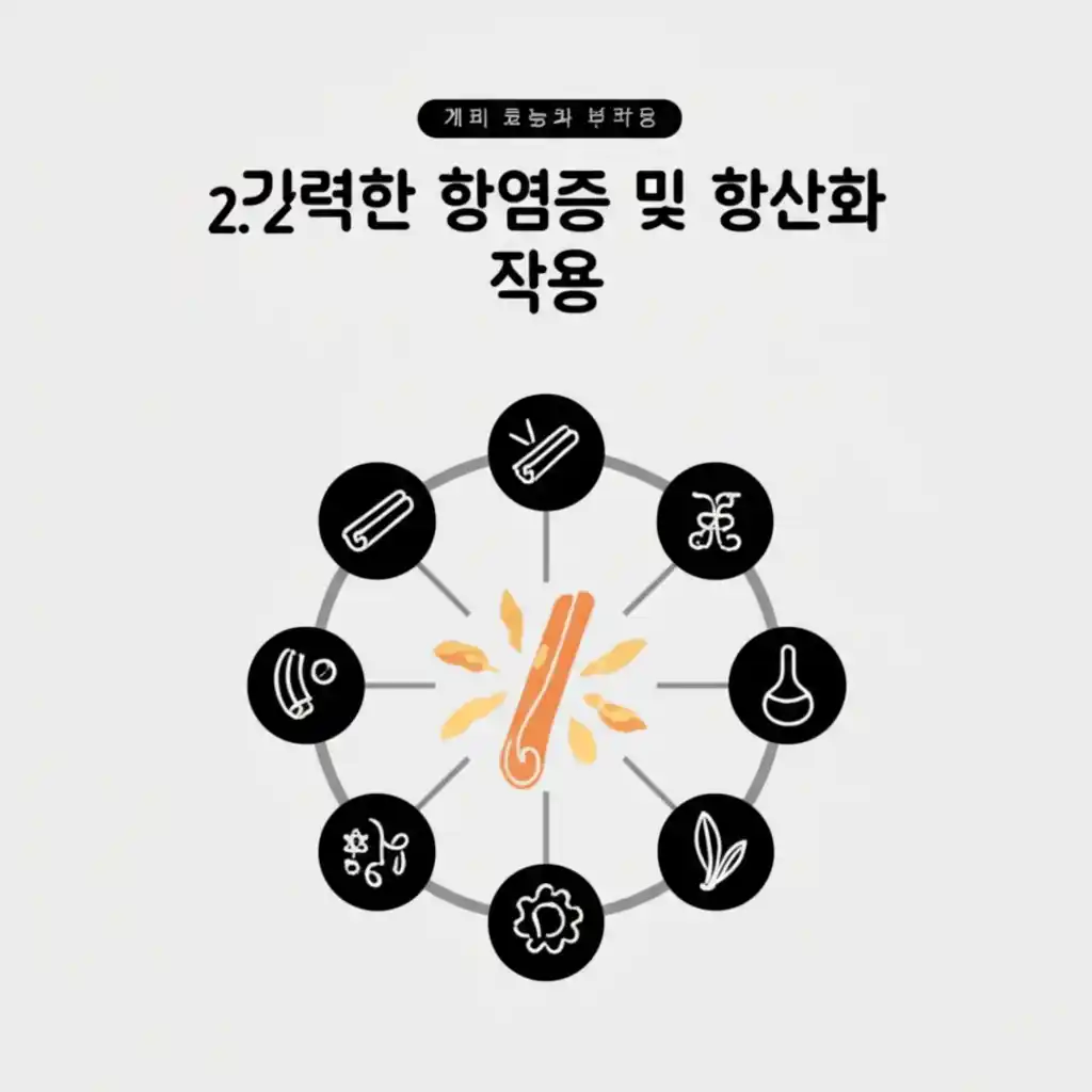 계피 효능: 염증을 줄이고 세포를 보호하는 강력한 항산화 작용.