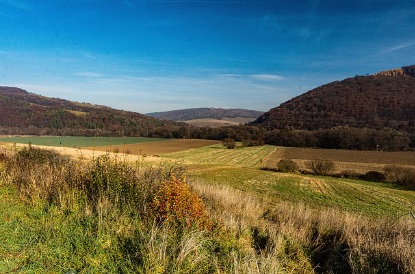 농지임대, 영농계약, 농업관련 교육이수