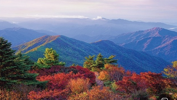 지리산 단풍