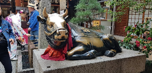 교토 여행 추천 니시키 시장