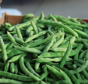 완두콩 효능 부작용 영양성분 먹는법 고르는법