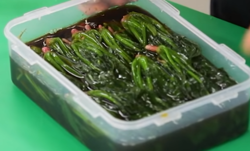 시금치 장아찌를 담아서 보관 용기에 담아둔 모습