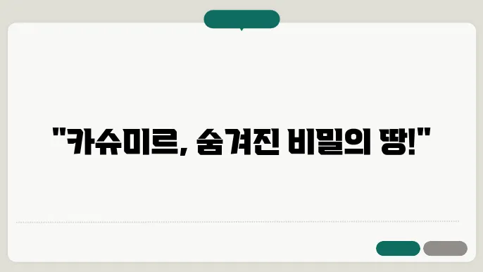 카슈미르 갈등의 접근법