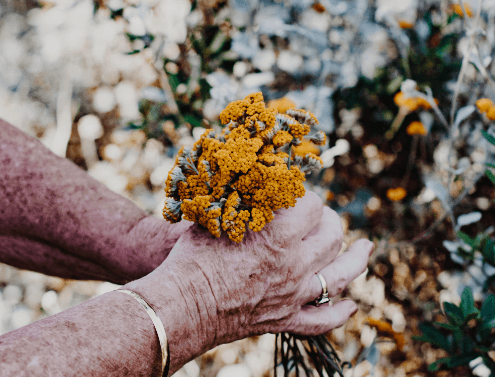 돌아가신 할머니 꿈