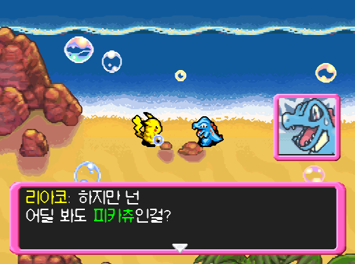 닌텐도 DS 정발판