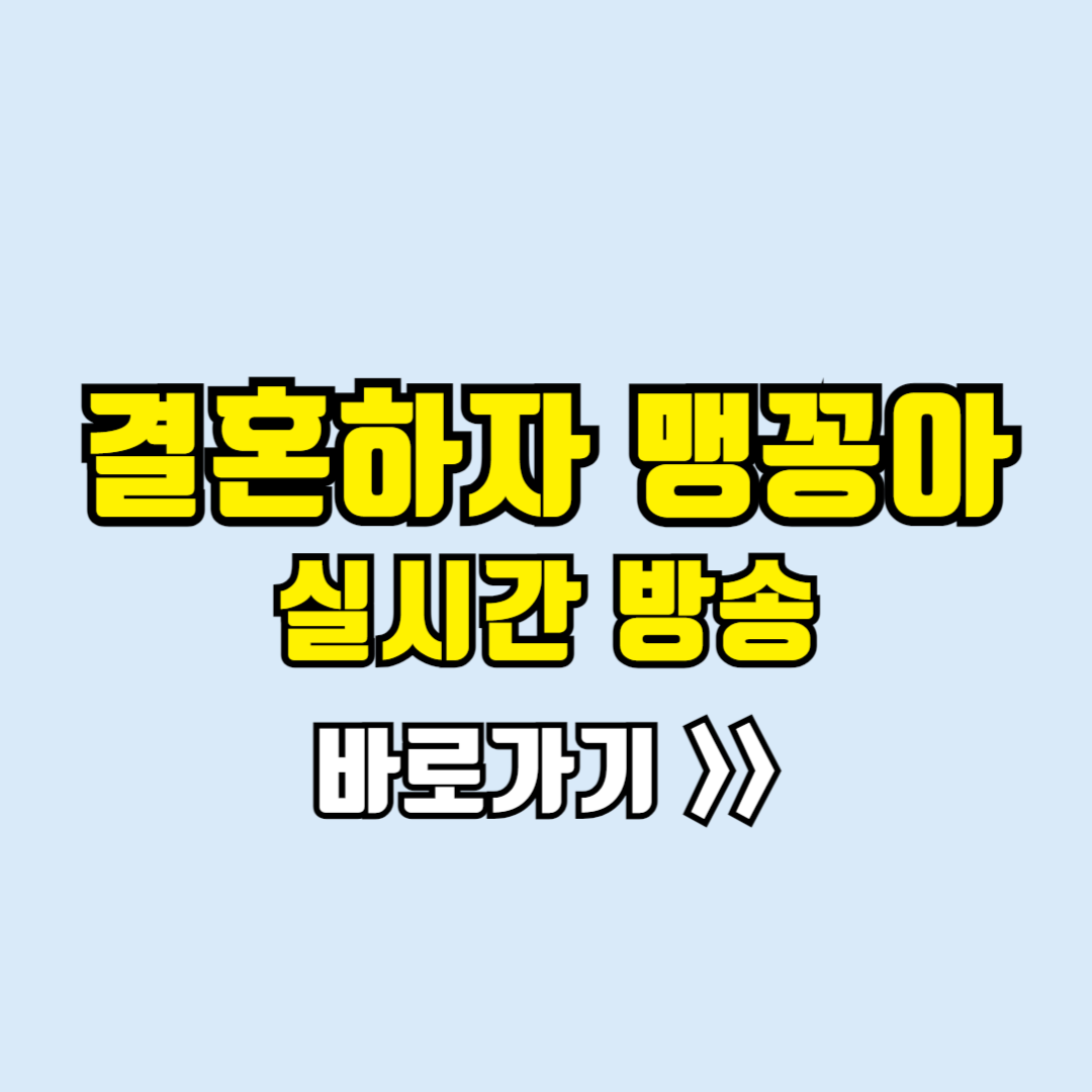 결혼하자맹꽁아 실시간