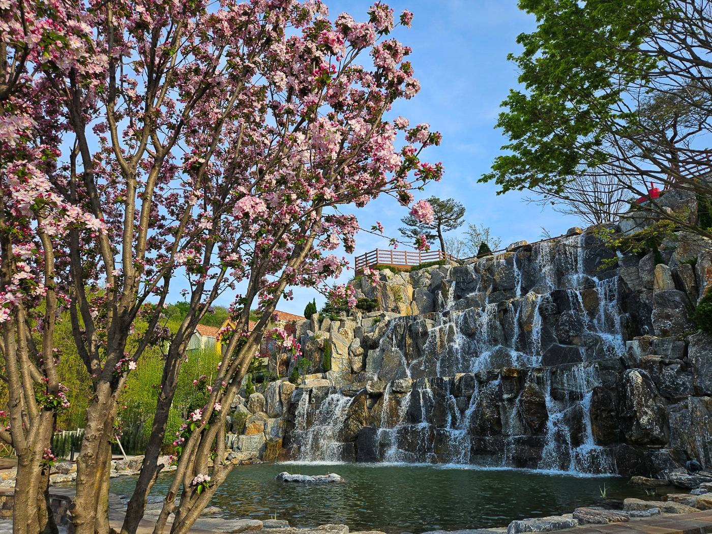 용인 자작나무숲 봄꽃축제