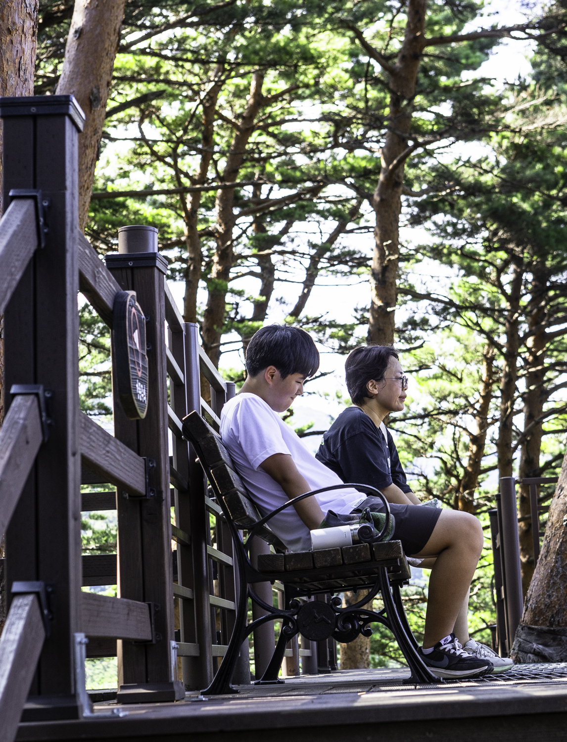 대관령소나무길 노무현 대통령