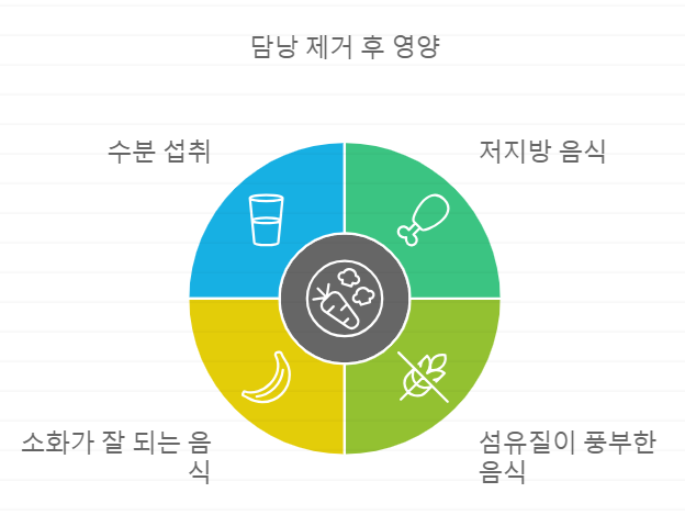 쓸개 제거후 영양