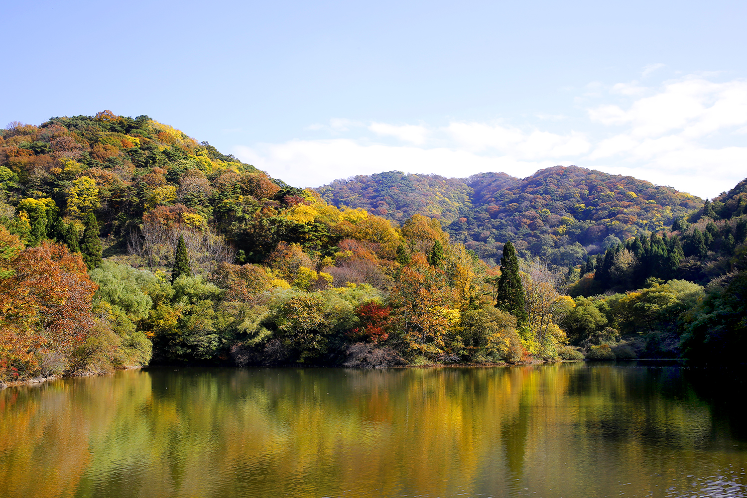 화순 세량지