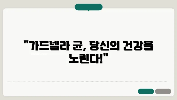 가드넬라 균