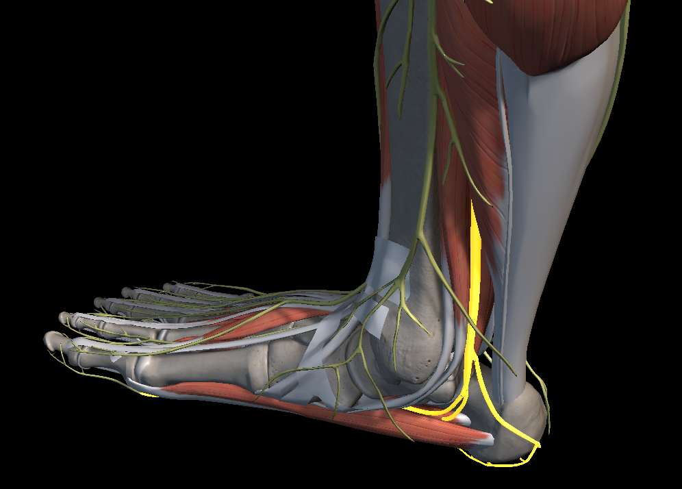 발목 안쪽 통증 치료법