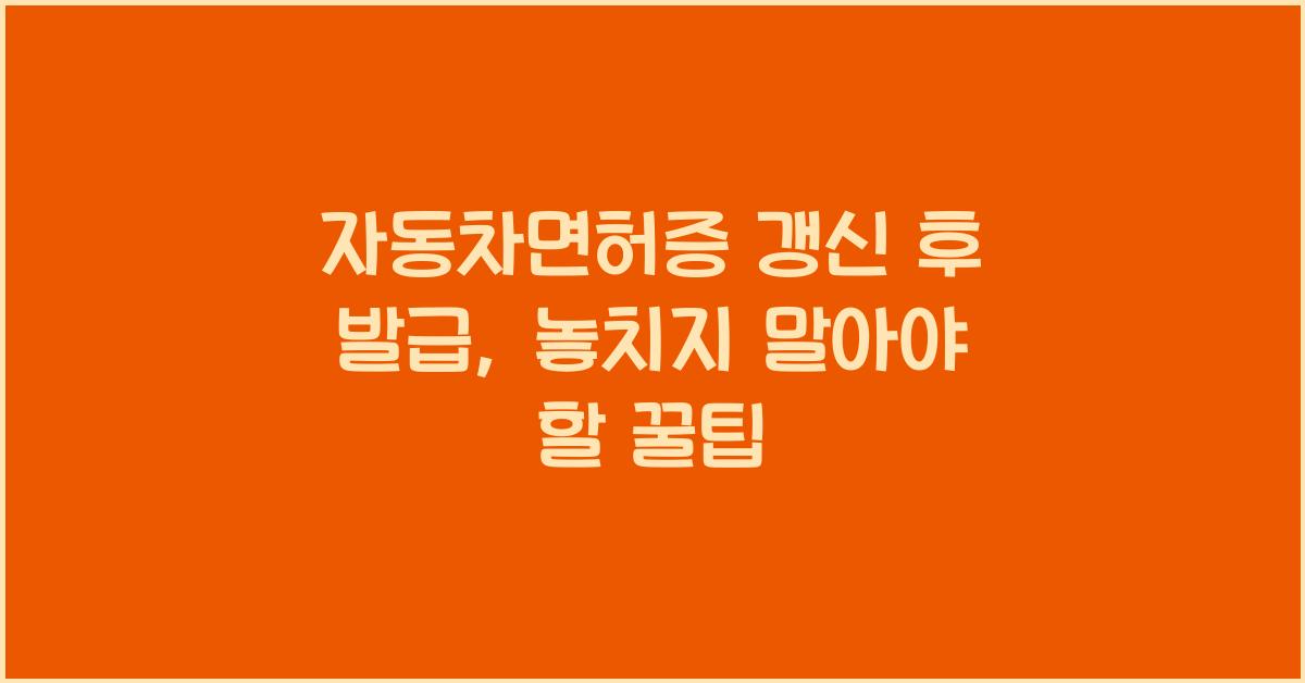 자동차면허증 갱신 후 발급