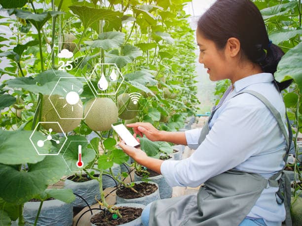 실내 정원을 스마트하게 관리하는 비결