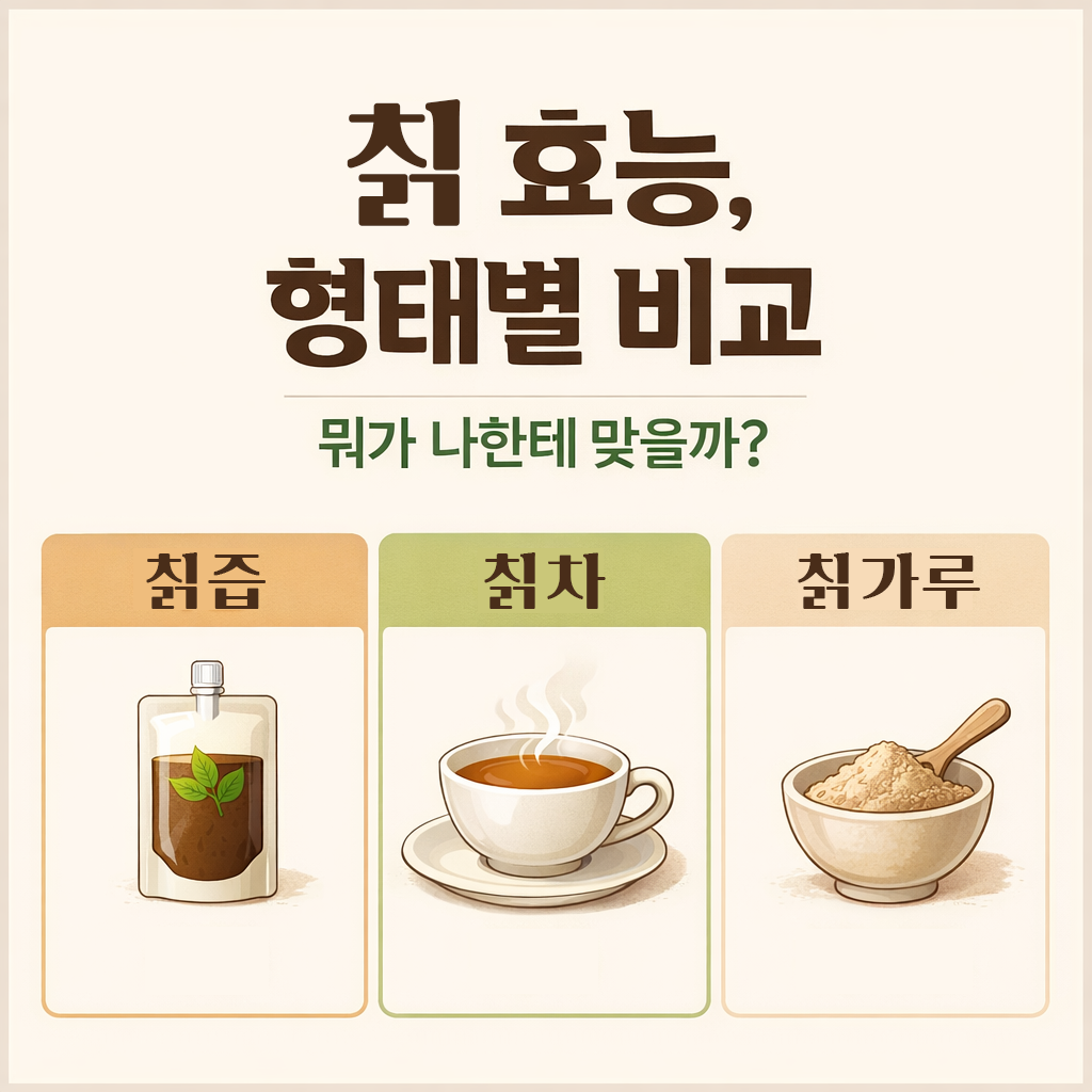 칡 효능 총정리 숙취 갱년기 혈액순환까지 먹는 법과 주의점