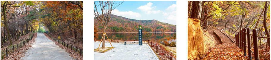 대전 근교 계룡 군문화축제 기본정보 및 하늘소리길 탐방 예약방법