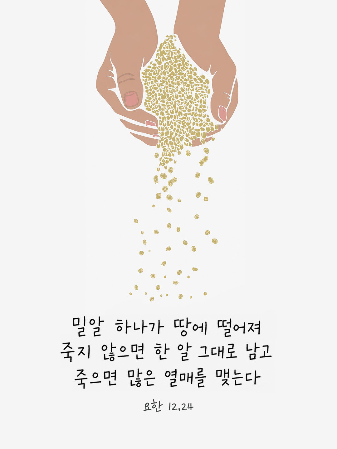 오늘 말씀카드 요한복음 12장 24절 성경구절 이미지