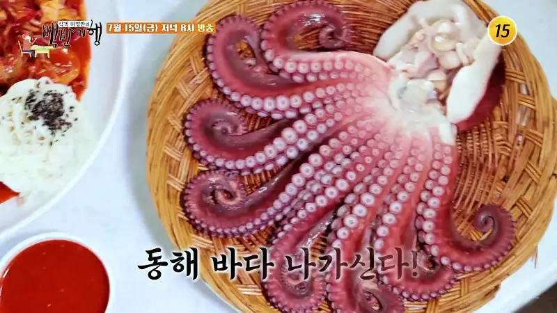 식객 허영만 백반기행 160회 김지민 편 참문어 문어숙회, 가리비 찜, 산낙지, 골뱅이 무침 맛있는 실내 포차 동해 삼척 7번국도 노포 맛집 소개