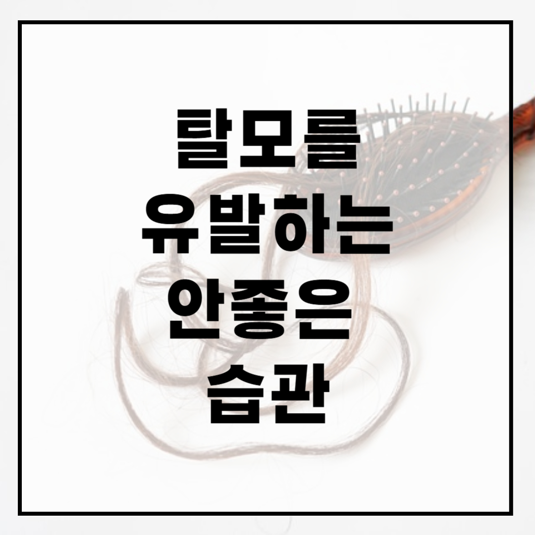 탈모를-유발하는-안 좋은-습관