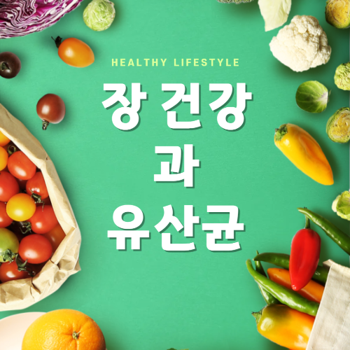 장건강 유산균