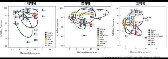 전립선암 소선원치료