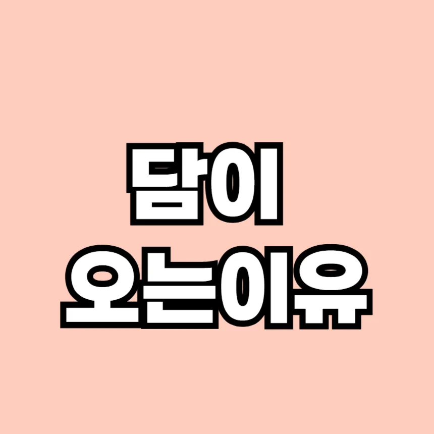 담이 오는 이유