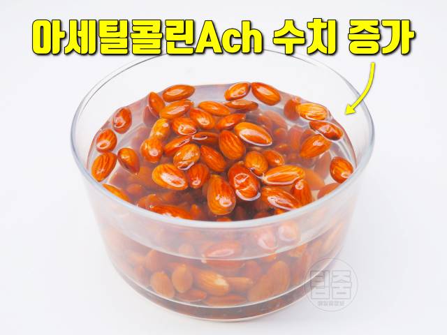 아몬드 물에 불리기 아몬드 물에 불리는 시간 아몬드효능 치매