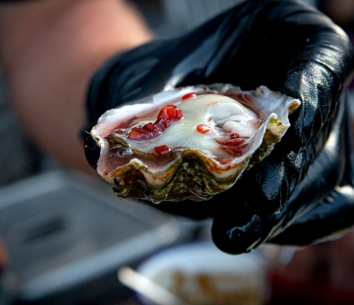 날-음식-조개