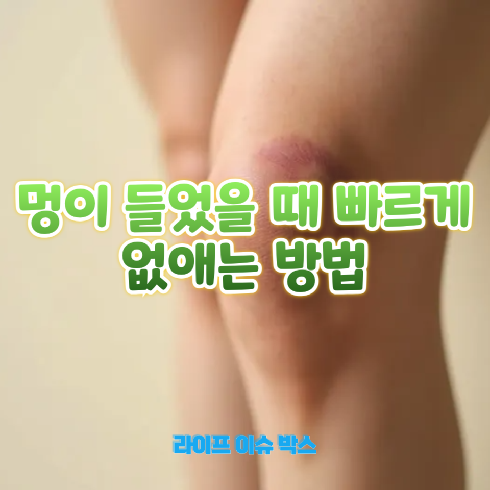 멍이 들었을 때 빠르게 없애는 방법