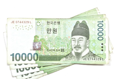 대전-민생회복지원금