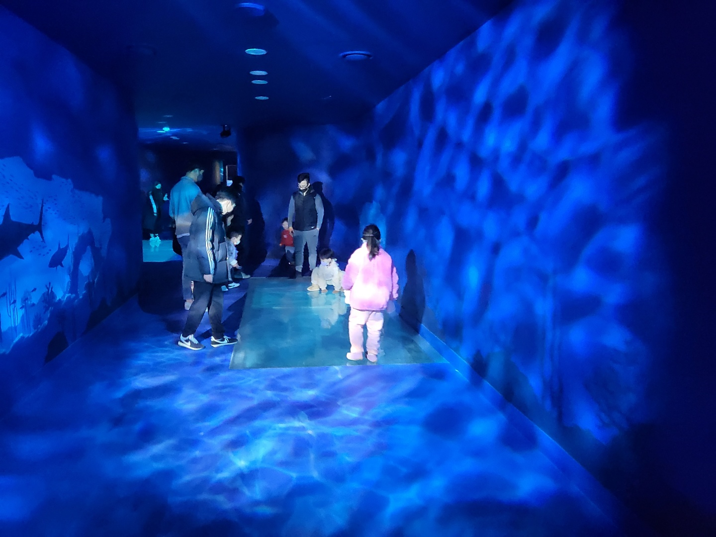 부산 아쿠아리움